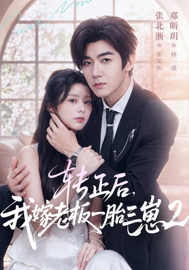 转正后，我嫁老板一胎三崽第二部海报